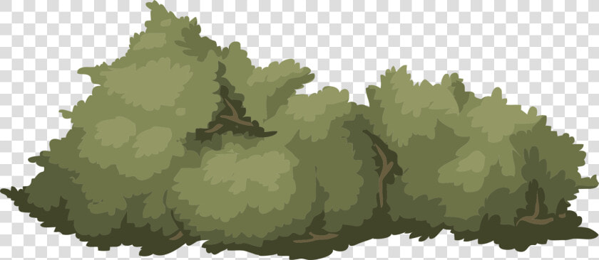 Transparent Shrub Clipart  HD Png DownloadTransparent PNG