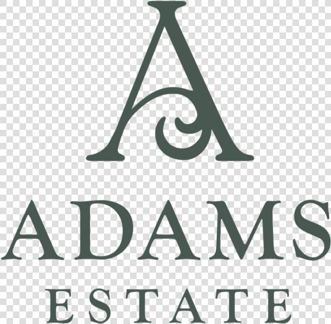 The Third Option Was Inspired By The Wrought Iron Scrollwork   Binghamton University  HD Png DownloadTransparent PNG