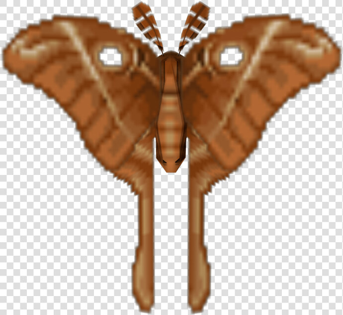 Download Zip Archive   Riodinidae  HD Png DownloadTransparent PNG