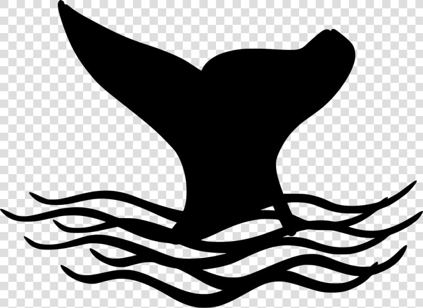 Barbatana De Peixe Png  Transparent PngTransparent PNG