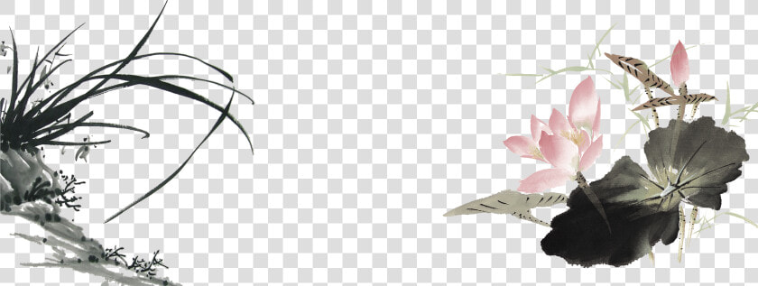 Orchids Drawing Ink  HD Png DownloadTransparent PNG