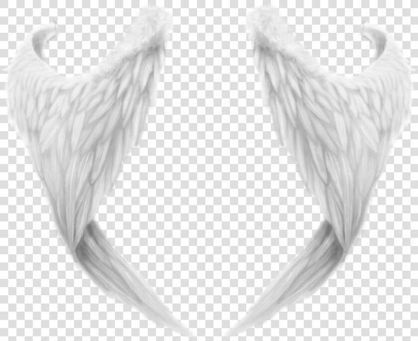 White Wings Png   Realistic Angel Wings Drawings  Transparent PngTransparent PNG
