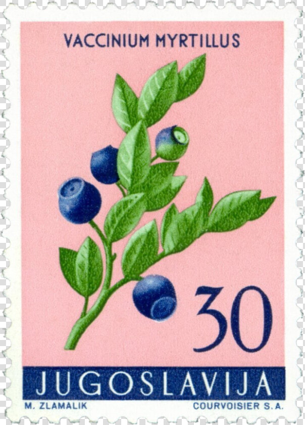 Image   Huckleberry  HD Png DownloadTransparent PNG