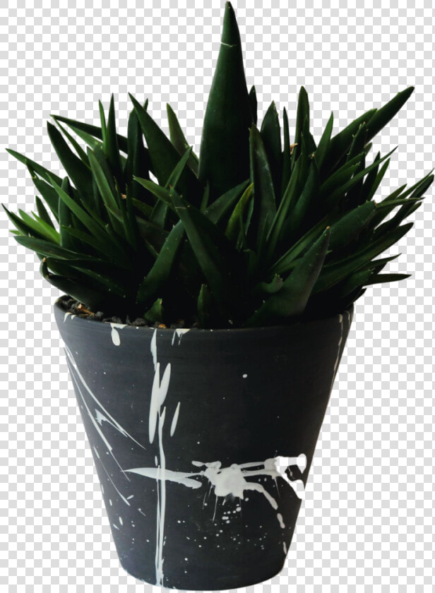 Flowerpot  HD Png DownloadTransparent PNG
