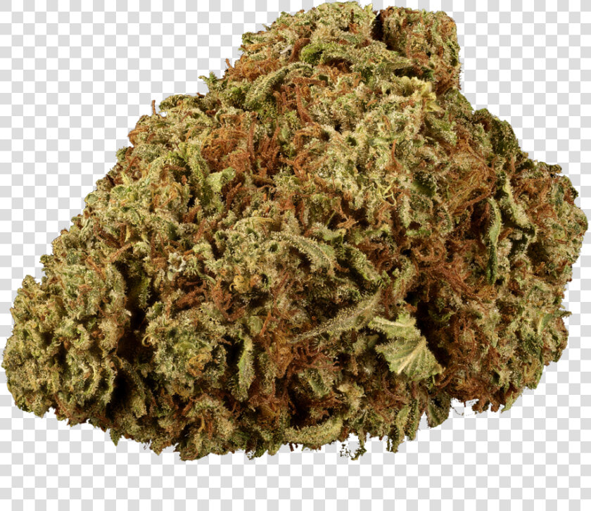 Forbidden Fruit Marijuana  HD Png DownloadTransparent PNG