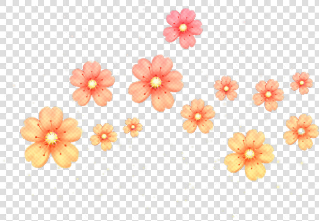  flower  orange  glitter  nature  overlays   Emoji Flor Png  Transparent PngTransparent PNG