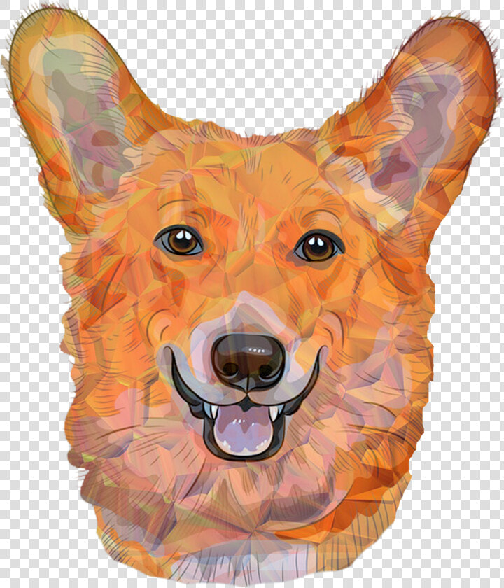 Color Dogs  Red Dog  Dog  German Dog  White Dogs   Dog  HD Png DownloadTransparent PNG