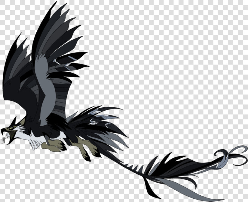 Griffin Protoceratops Eagle Drawing Art   Deviantart Griffin Lineart  HD Png DownloadTransparent PNG