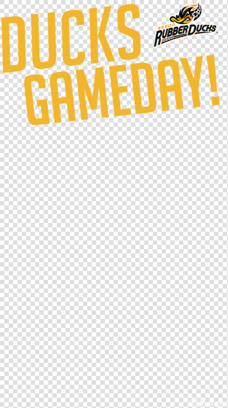 Akron Rubberducks  HD Png DownloadTransparent PNG