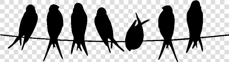 Bird Stencil Silhouette Owl Common Kingfisher   Silhouette Oiseau Sur Fil  HD Png DownloadTransparent PNG