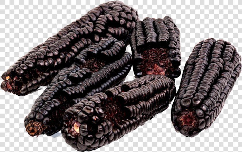 Heirloom Purple Corn   Bean  HD Png DownloadTransparent PNG