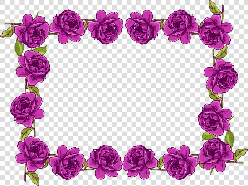 Download Purple Border Frame Png Transparent Picture   Transparent Png Flower Purple Png  Png DownloadTransparent PNG