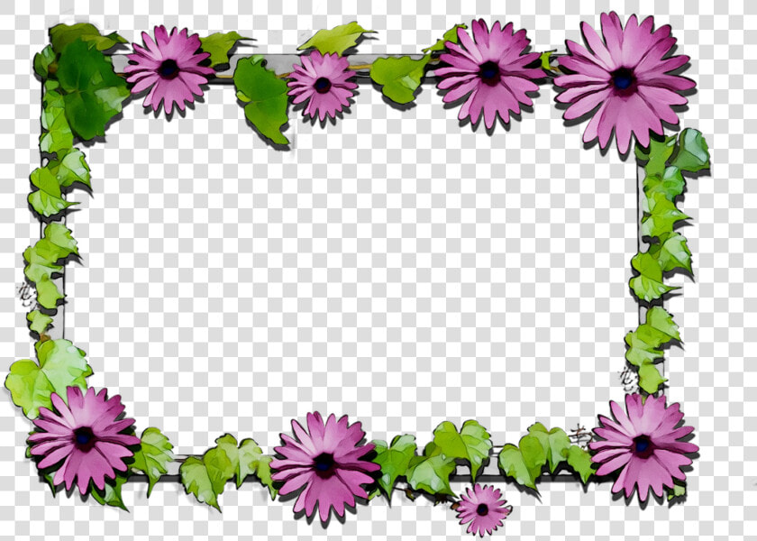 Floral Chrysanthemum Flowers Cut Design Png Download   African Daisy  Transparent PngTransparent PNG