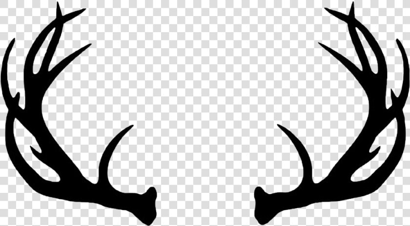 Reindeer White tailed Deer Moose Elk   Happy Birthday Deer Antlers  HD Png DownloadTransparent PNG