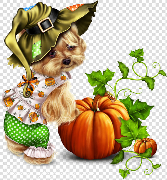 Little Pumpkin Yorkie   Yorkie Thanksgiving Clipart  HD Png DownloadTransparent PNG