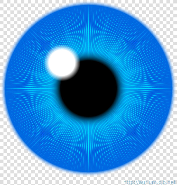 Eye  Iris  Vision  Human  Blue  Part  Eyeball  Optical   Iris Eye Clipart  HD Png DownloadTransparent PNG