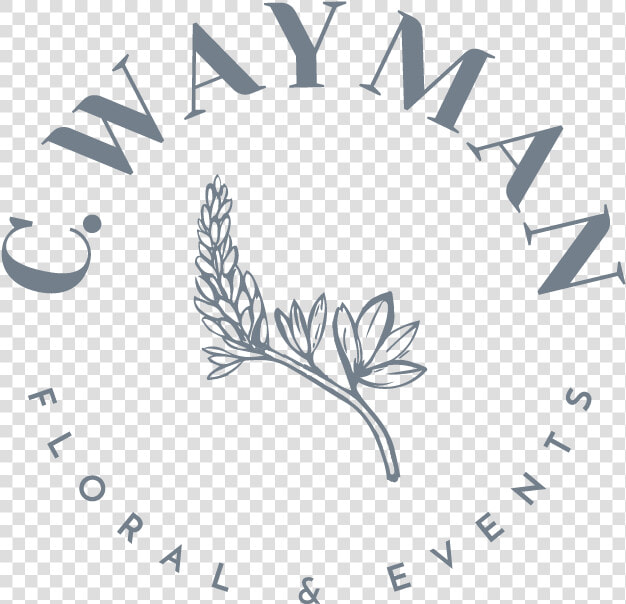 C Wayman Floral And Events   Illustration  HD Png DownloadTransparent PNG