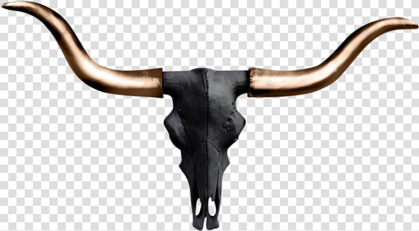 Longhorn Skull Clipart   Png Download   Horn  Transparent PngTransparent PNG