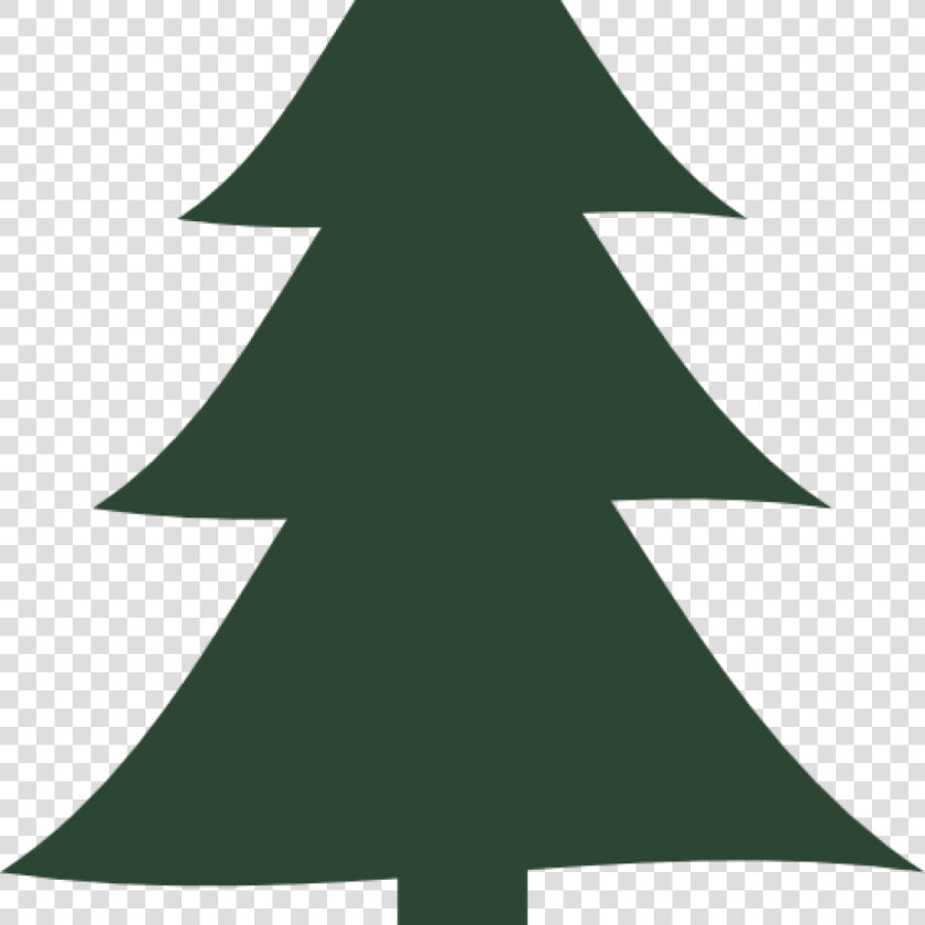 Transparent Pine Tree Vector Png   Trees Vector Pine Png  Png DownloadTransparent PNG