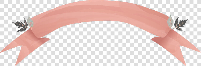  banner  ribbon  ribbons  banners  ftestickers  watercolor   Arch  HD Png DownloadTransparent PNG