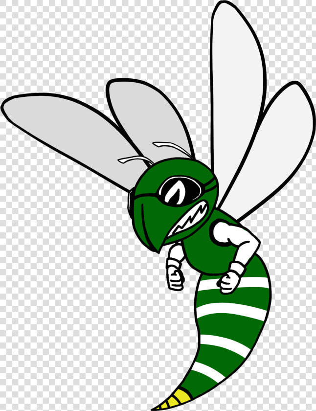 Support Our Teams   Net winged Insects  HD Png DownloadTransparent PNG