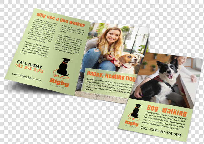 Green Dog Walking Bi fold Brochure Template Preview   Boston Terrier  HD Png DownloadTransparent PNG