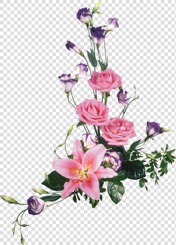 Transparent Watercolour Clipart   Marco De Flores Reales Png  Png DownloadTransparent PNG