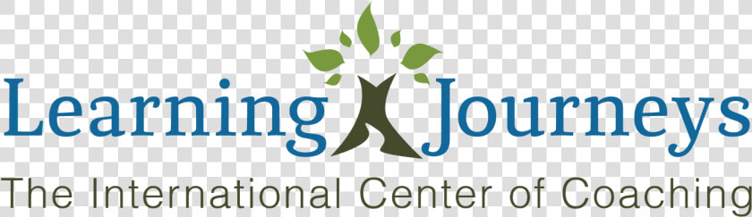 Coaching Certification And Narrative Certification   Central Plaza  HD Png DownloadTransparent PNG