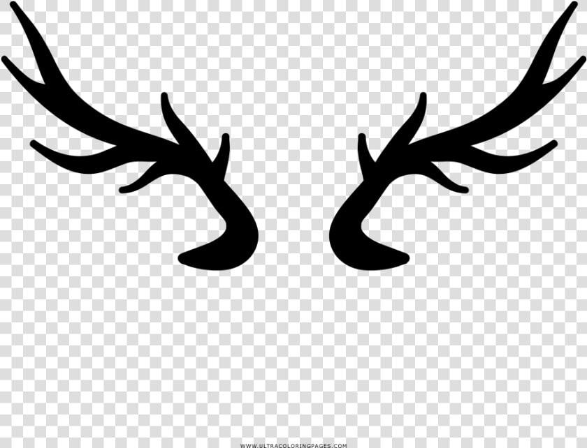 Deer Horns Coloring Page   Chifres De Veado Png  Transparent PngTransparent PNG