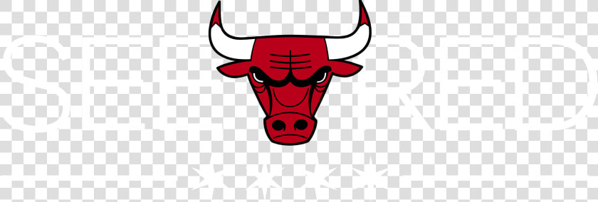 Download Chicago Bulls Png Photos   Chicago Bulls Vector Png  Transparent PngTransparent PNG