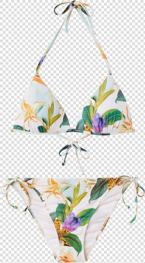 Swimsuit Bottom  HD Png DownloadTransparent PNG