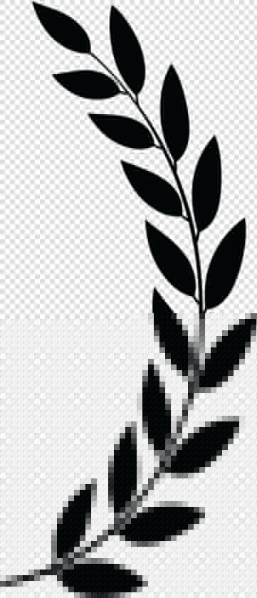 Laurels Png  Transparent PngTransparent PNG