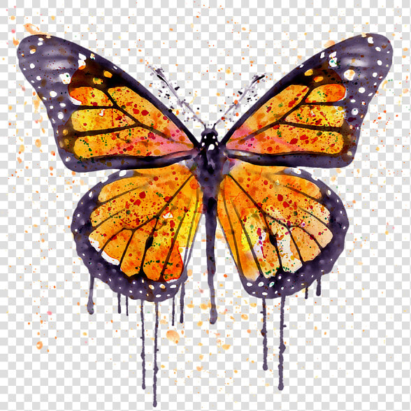 Transparent Orange Watercolor Png   Monarch Butterfly Canvas Paintings  Png DownloadTransparent PNG