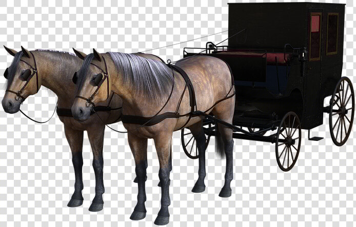 Transparent Horse And Carriage Png   Horse And Carriage Png  Png DownloadTransparent PNG