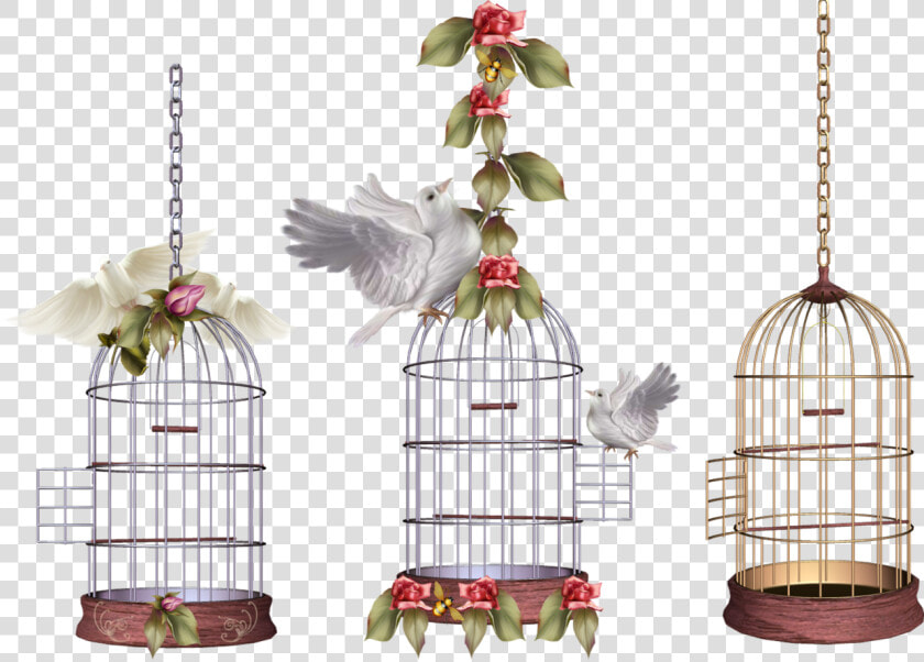 White Bird Cage Png Image   Клетка С Птицей Png  Transparent PngTransparent PNG