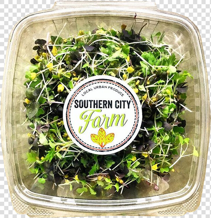 Boxed Sprouts Southerncityfarm  HD Png DownloadTransparent PNG