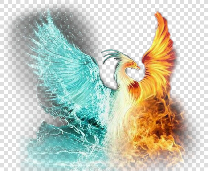  scphoenix  phoenix  ice  fire  iceandfire  flame  fire   Phoenix Fire Blue And Red  HD Png DownloadTransparent PNG