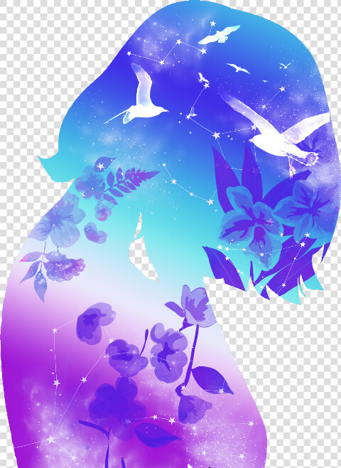 Freetoedit Scseagull Seagull   Illustration  HD Png DownloadTransparent PNG
