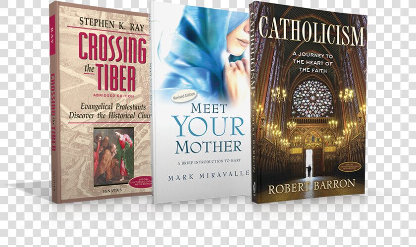 Book Bundle Covers  HD Png DownloadTransparent PNG