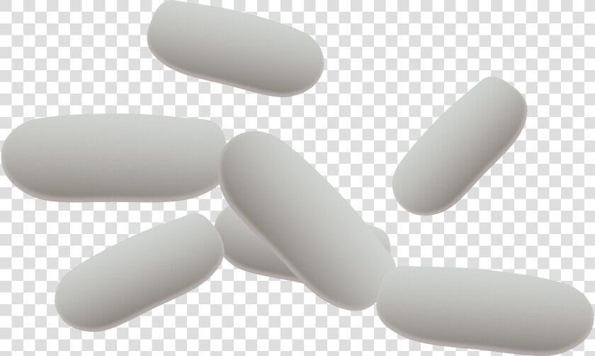 Bacteria Cells Transparent Background  HD Png DownloadTransparent PNG