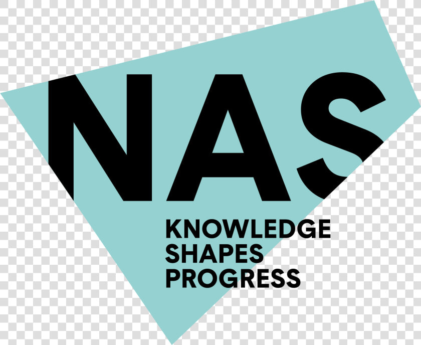 Nas Logo   Graphic Design  HD Png DownloadTransparent PNG