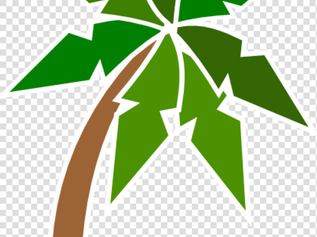 Plant Clipart Coconut Tree   Ada Ağacı Png  Transparent PngTransparent PNG