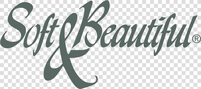 Soft  amp  Beautiful Logo Png Transparent   Soft  amp  Beautiful Logo  Png DownloadTransparent PNG