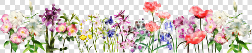 Flower Header Clipart Picture Royalty Free Download   Spring Flower Banner Transparent  HD Png DownloadTransparent PNG