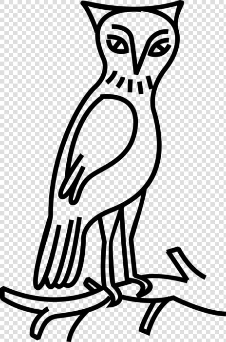 Vector Illustration Of Owl Nocturnal Bird Of Prey Stands   Eastern Screech Owl  HD Png DownloadTransparent PNG