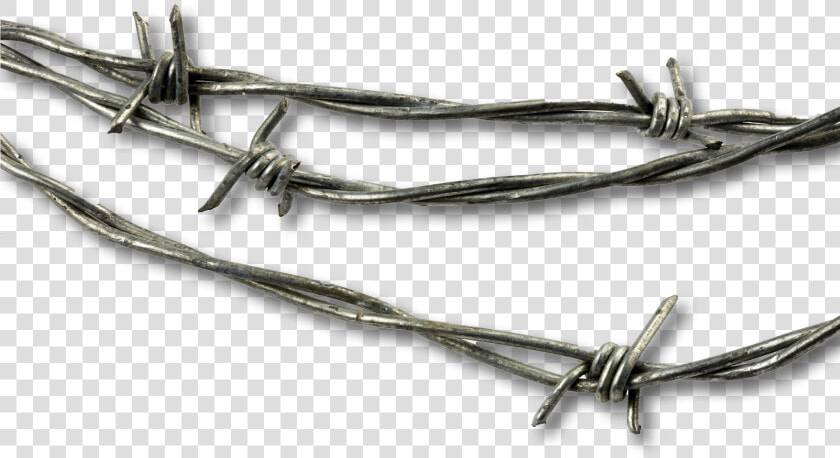 Barbed Wire Png   Png Download   Barbed Wire Png Free  Transparent PngTransparent PNG