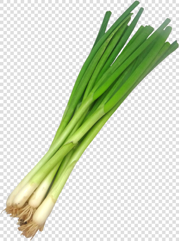 Spring Onions Transparent Background  HD Png DownloadTransparent PNG