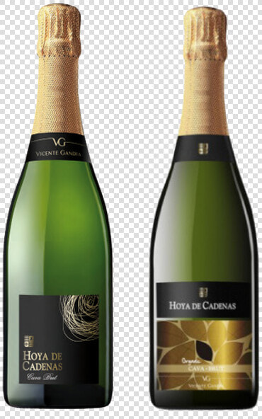 Vicente Gandia Cava Brut  HD Png DownloadTransparent PNG