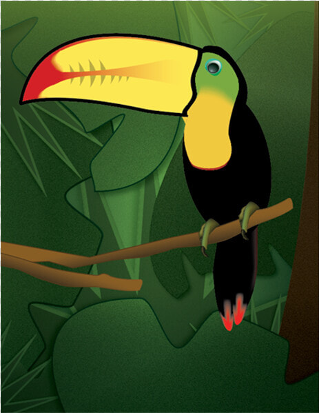 Toucan  amp  Gradients Exercise Adobe Illustrator Illustration   Toucan  HD Png DownloadTransparent PNG