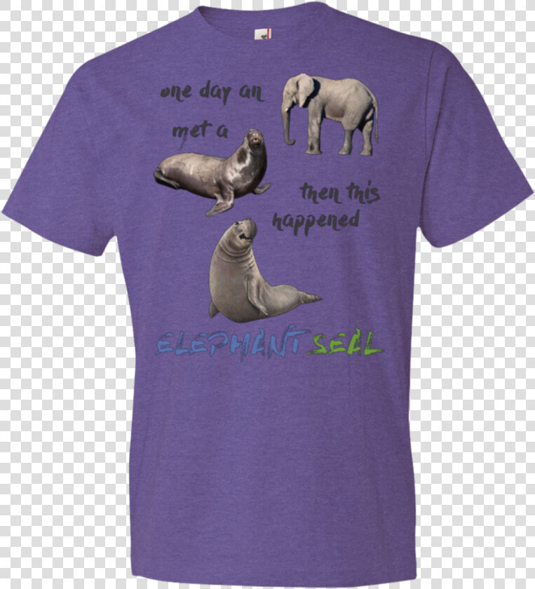 Funny Elephant Seals   T shirt  HD Png DownloadTransparent PNG
